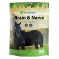 Load image into Gallery viewer, Brain and Nerve