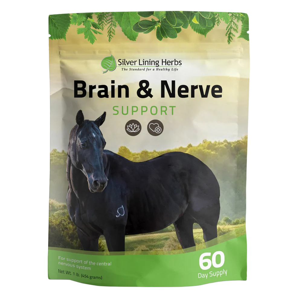 Brain and Nerve
