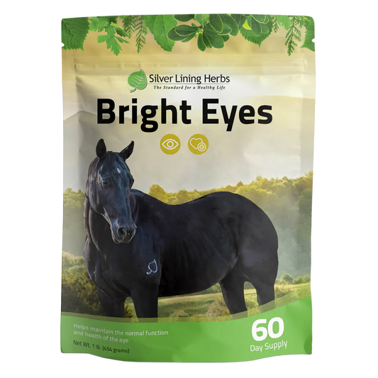 Bright Eyes