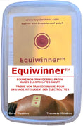 Load image into Gallery viewer, Equiwinner Patch