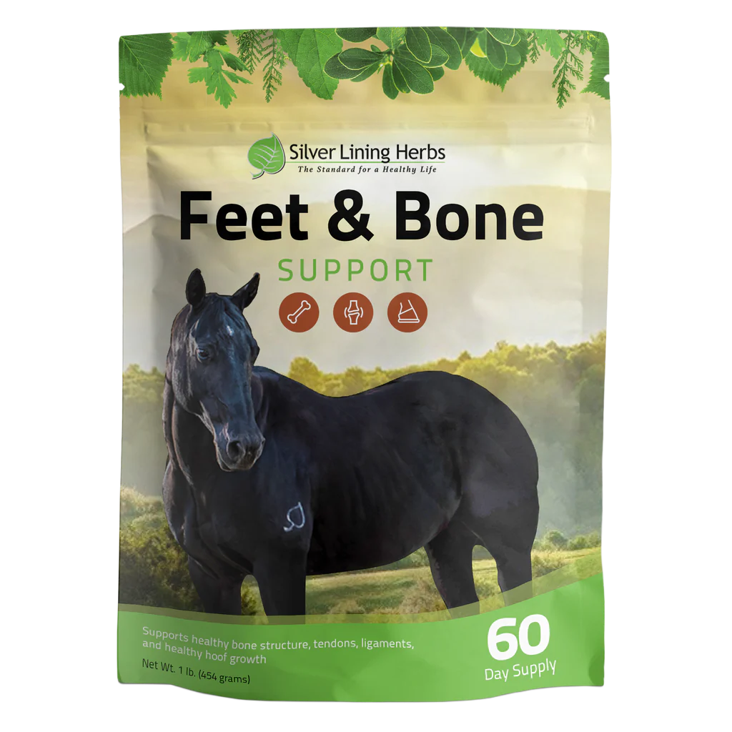 Feet & Bone Support