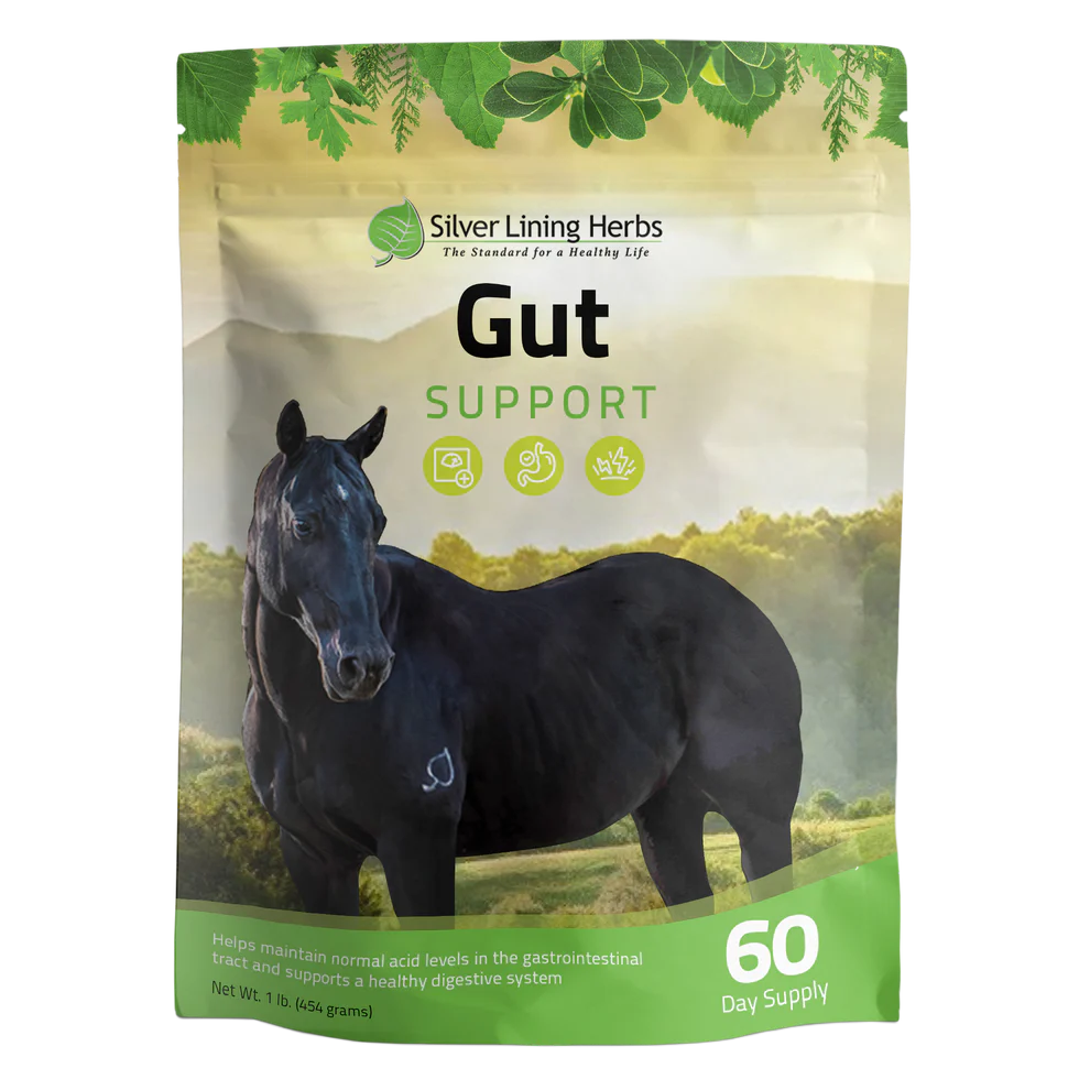 Gut Support