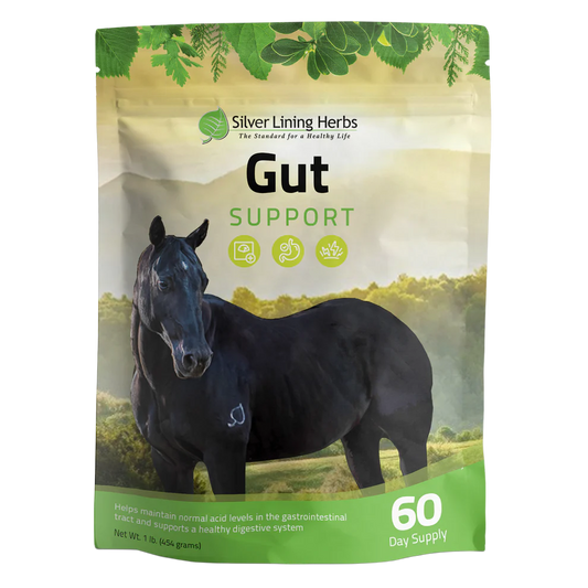 Gut Support