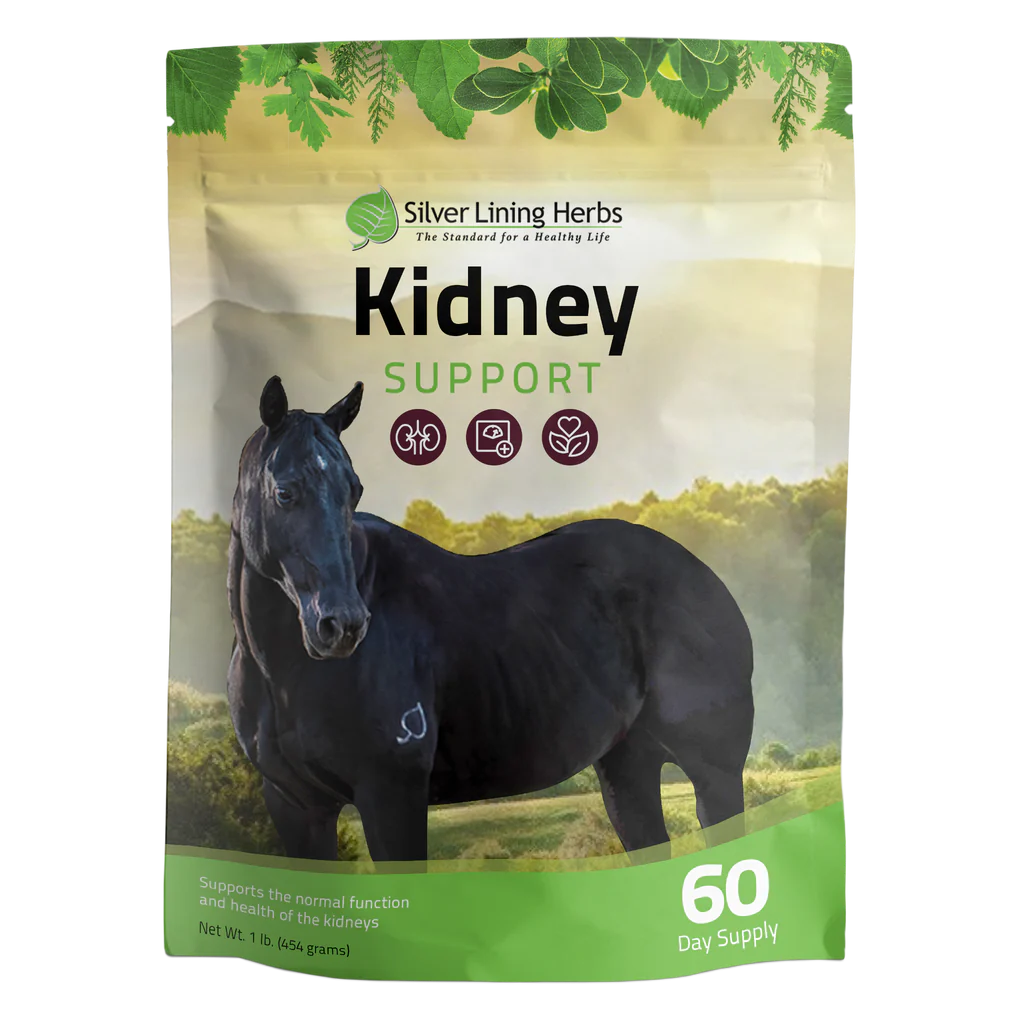 Kidney Support