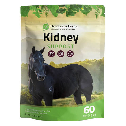 Kidney Support