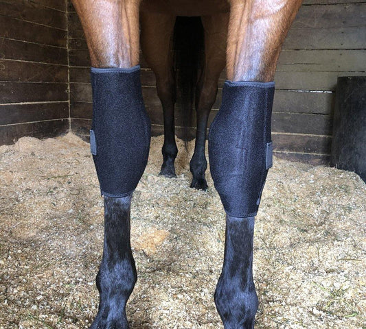 Fenwick LT Knee Boots