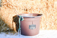 Load image into Gallery viewer, Hay Chix Favorite Bucket