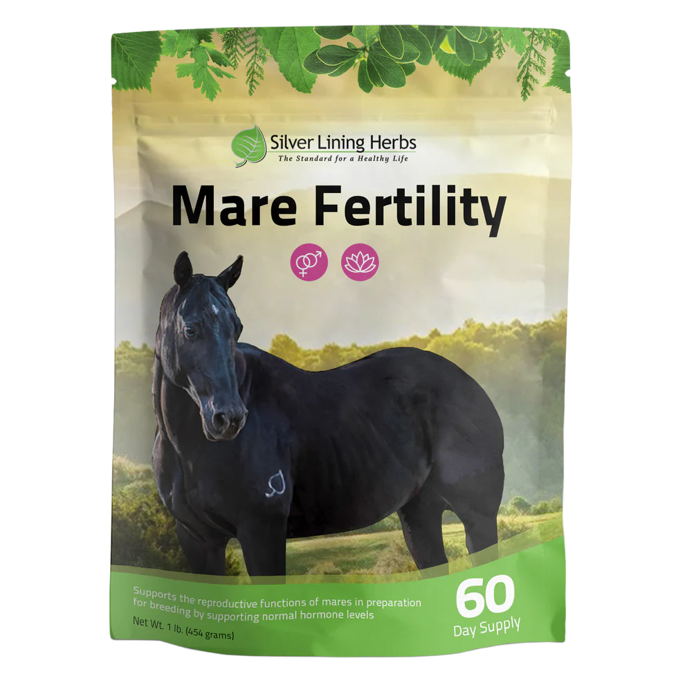 Mare Fertility