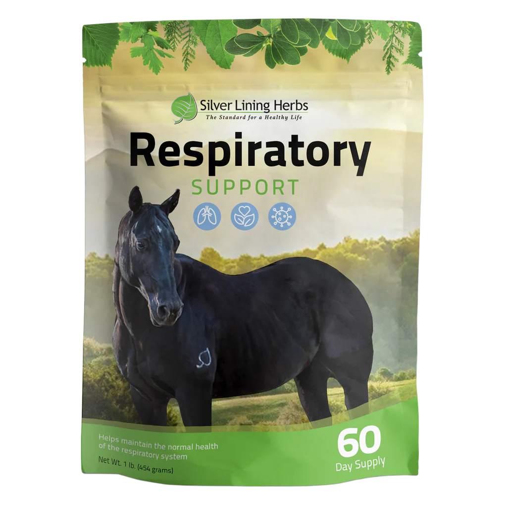Respiratory Support