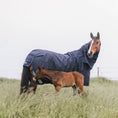 Load image into Gallery viewer, Pre-Order Turnout Rug All Weather Waterproof Comfort 300 GM (NECK PIECE SOLD SEPARATELY)