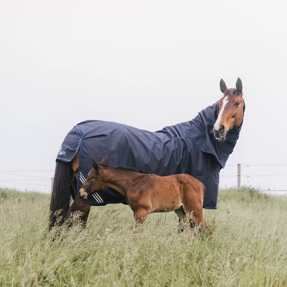 Pre-Order Turnout Rug All Weather Waterproof Comfort 300 GM (NECK PIECE SOLD SEPARATELY)