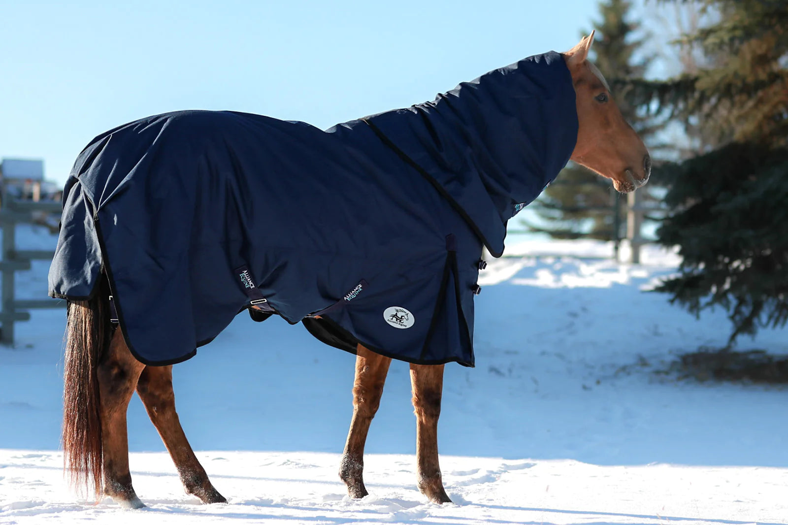 OG Winter Blanket