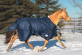 Load image into Gallery viewer, OG Winter Blanket