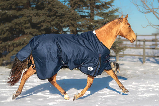 OG Winter Blanket