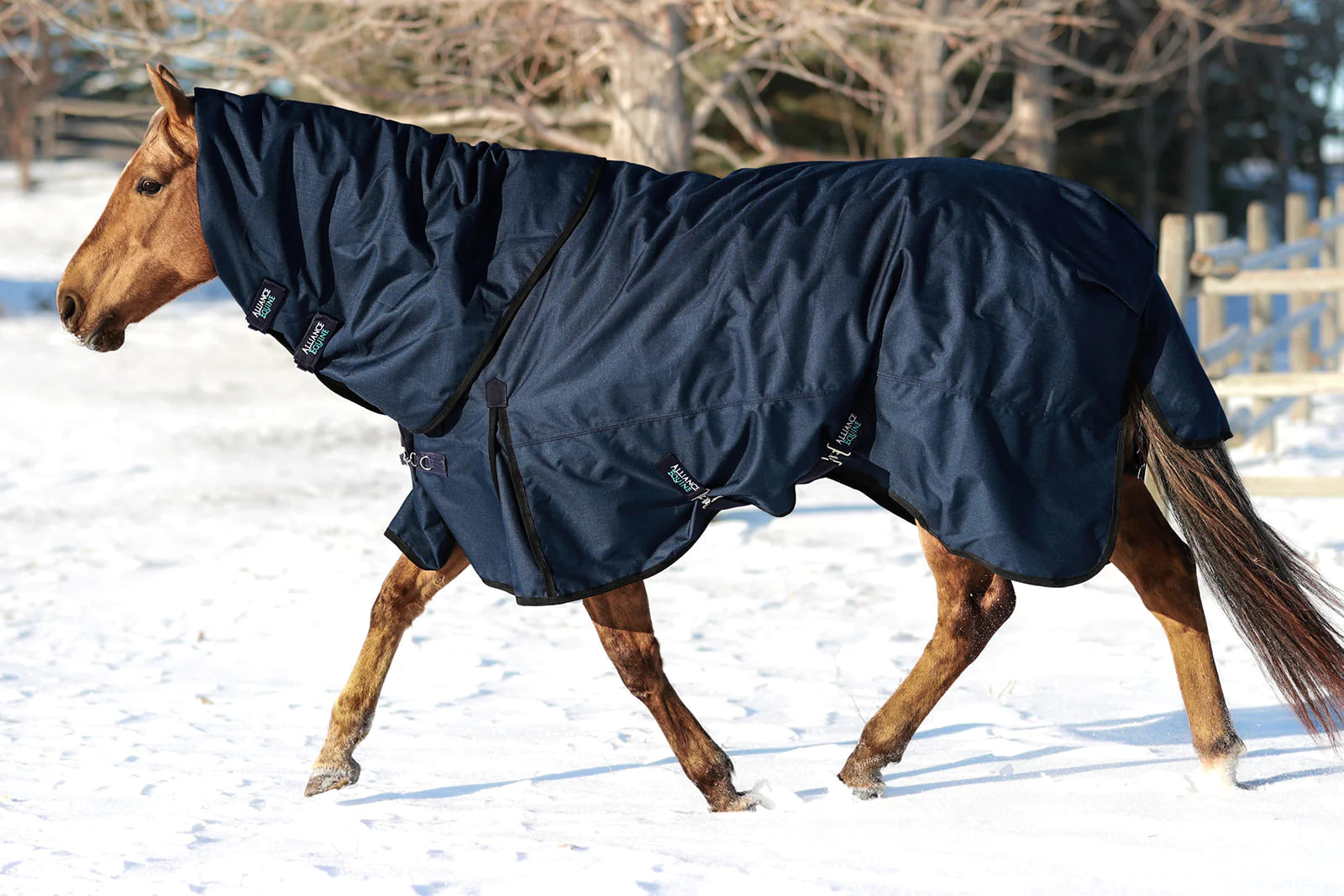 OG Winter Blanket
