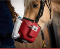Load image into Gallery viewer, Flexineb E3 Nebuliser Kit
