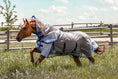 Load image into Gallery viewer, Buzz Off Fly Sheet