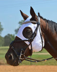 Load image into Gallery viewer, Fenwick Original LT Mask