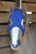 Load image into Gallery viewer, Fenwick Original LT Mask