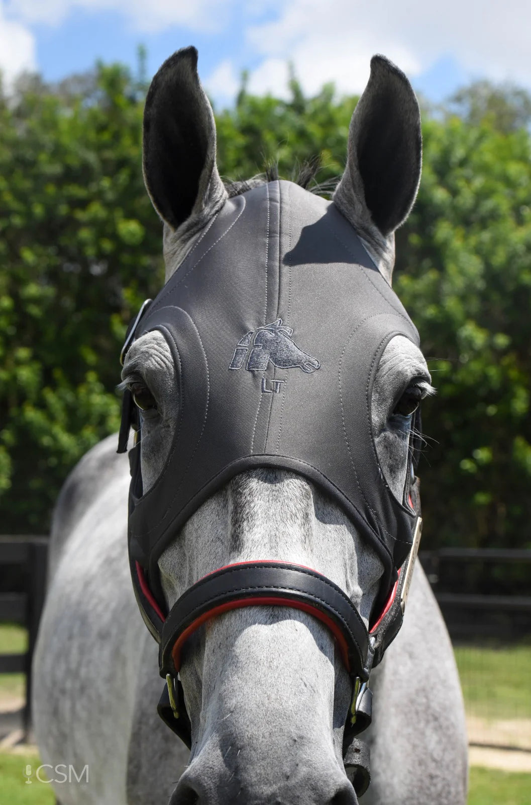 Fenwick Original LT Mask
