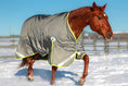 Load image into Gallery viewer, Lux Winter Blanket