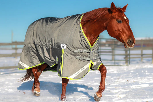 Lux Winter Blanket