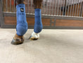 Load image into Gallery viewer, Alliance Equine V20X