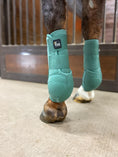Load image into Gallery viewer, Alliance Equine V20X