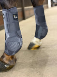 Load image into Gallery viewer, Alliance Equine V20X