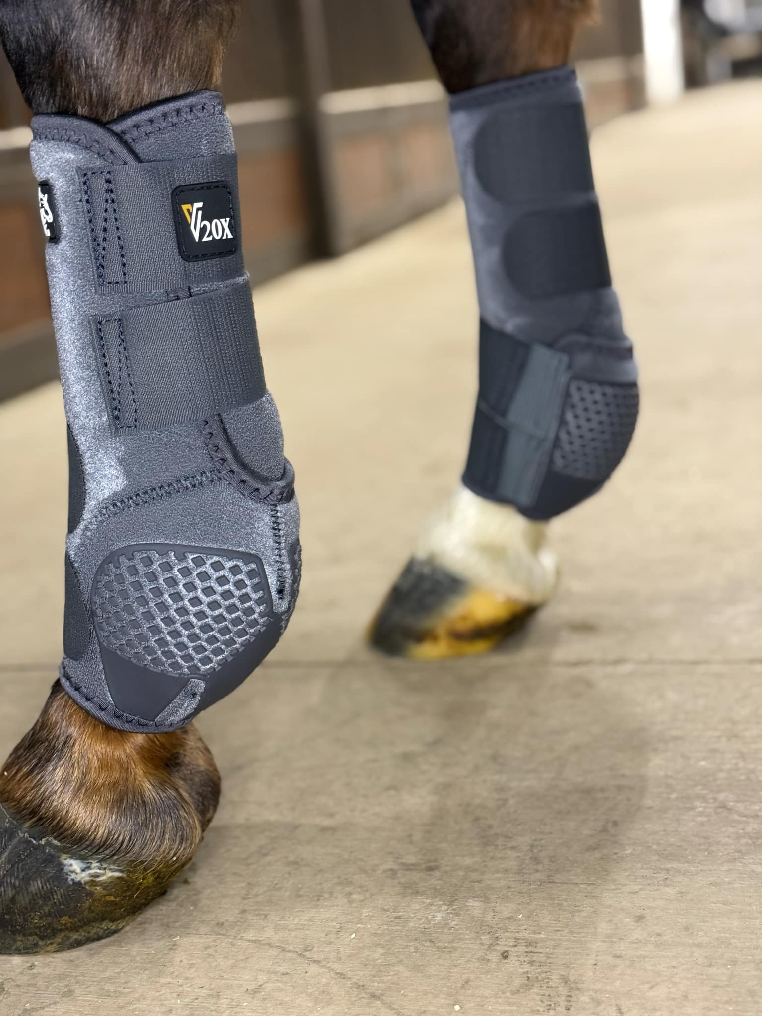 Alliance Equine V20X