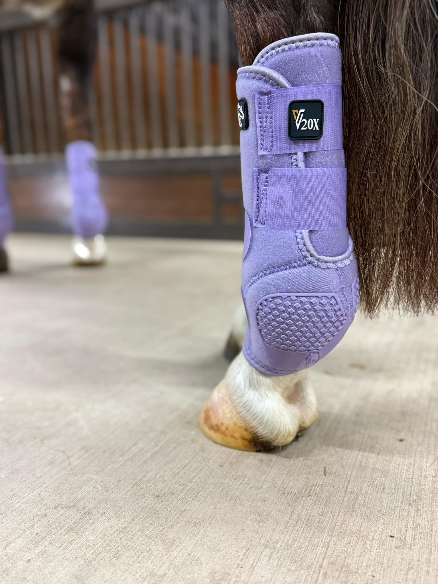 Alliance Equine V20X