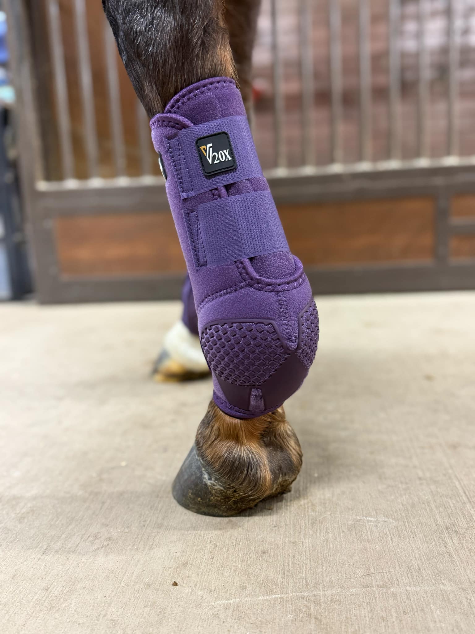 Alliance Equine V20X