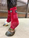 Load image into Gallery viewer, Alliance Equine V20X