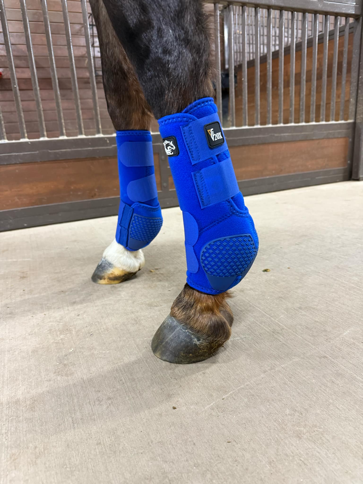 Alliance Equine V20X