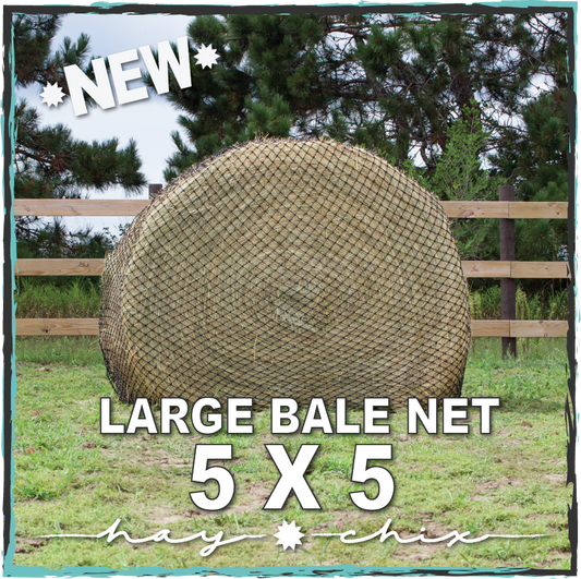 Large Round 5X5