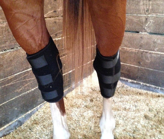 Fenwick LT Hock Boots
