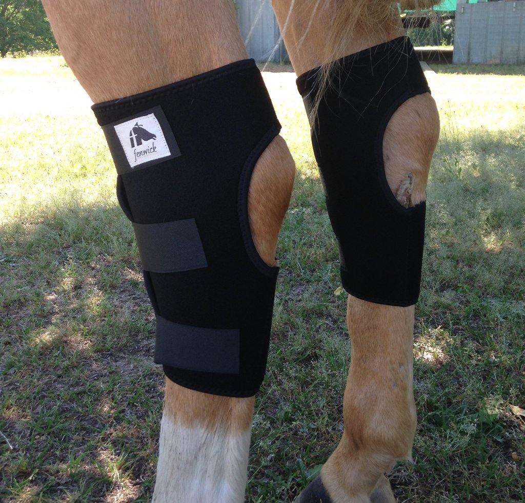 Fenwick LT Hock Boots