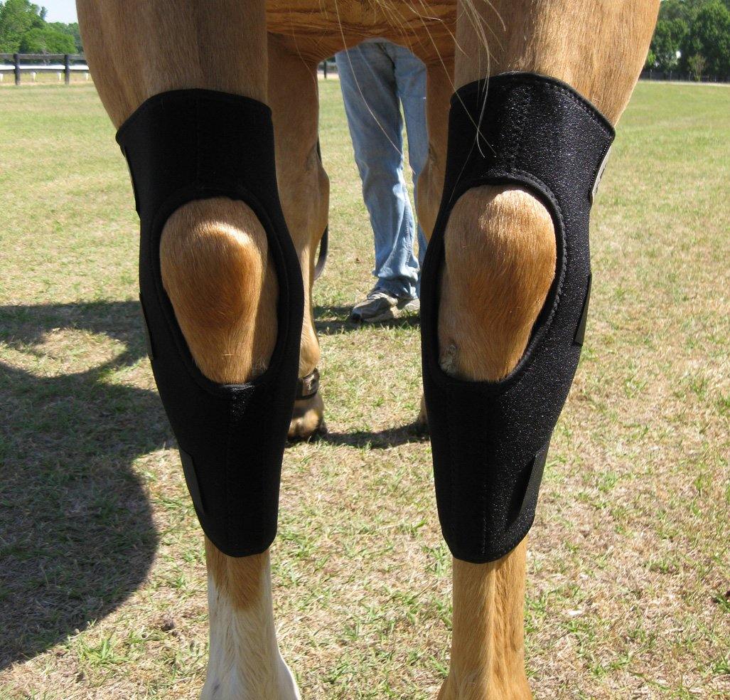 Fenwick LT Hock Boots