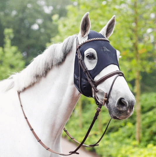 Fenwick Original LT Mask