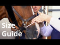Load and play video in Gallery viewer, Flexineb E3 Nebuliser Kit