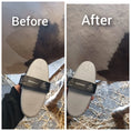 Load image into Gallery viewer, Schimmel Brush