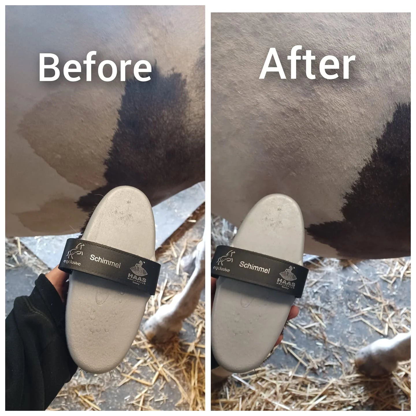 Schimmel Brush
