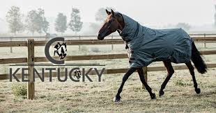 Kentucky Horsewear
