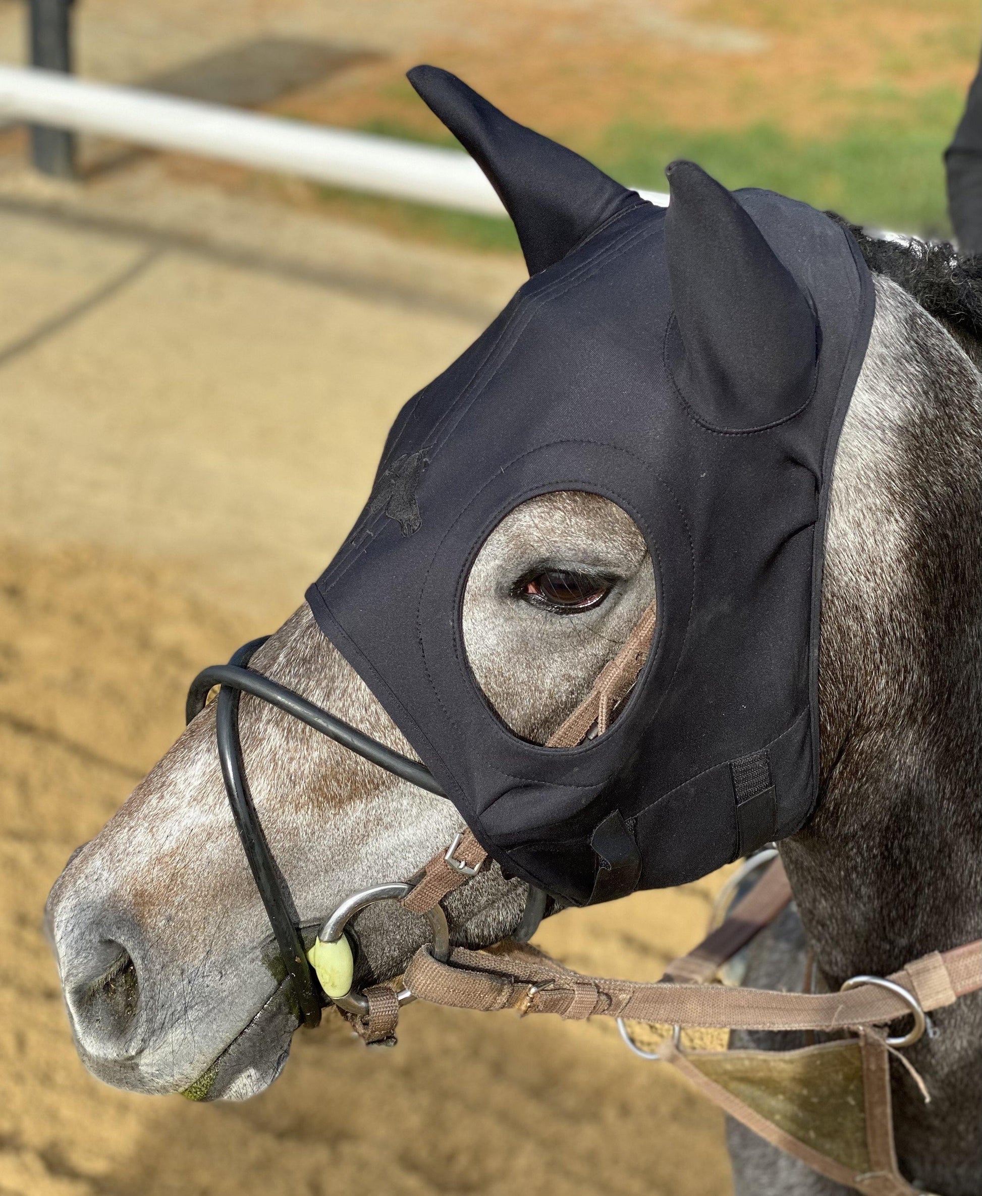 Fenwick LT mask WITH EARS