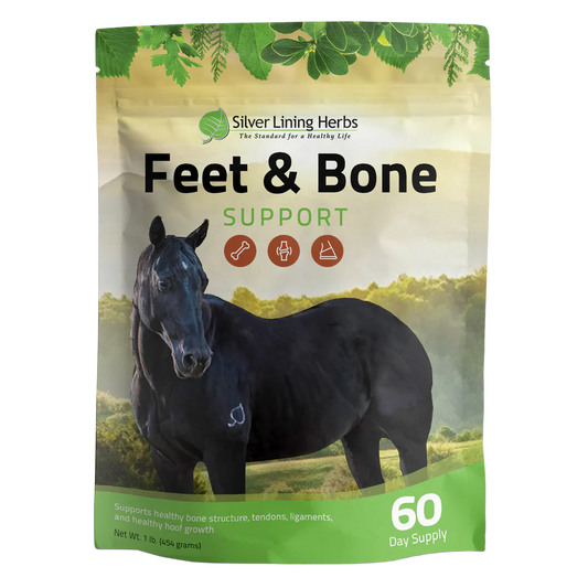 Feet & Bone Support