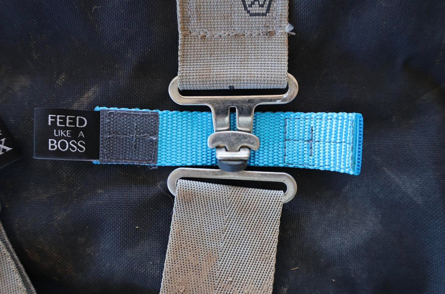 HayChix Buckle Safety Covers