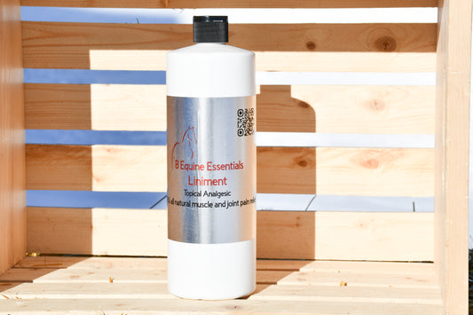 B Equine Liniment