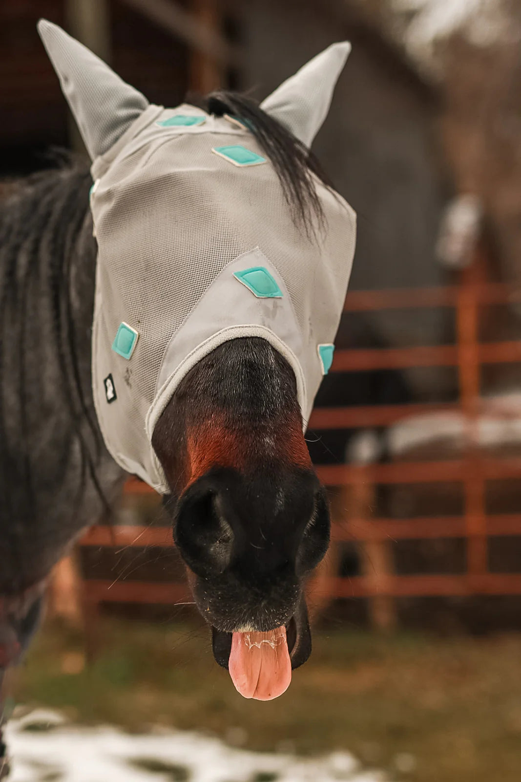 Magnitude Magnetic Fly Mask