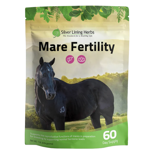 Mare Fertility
