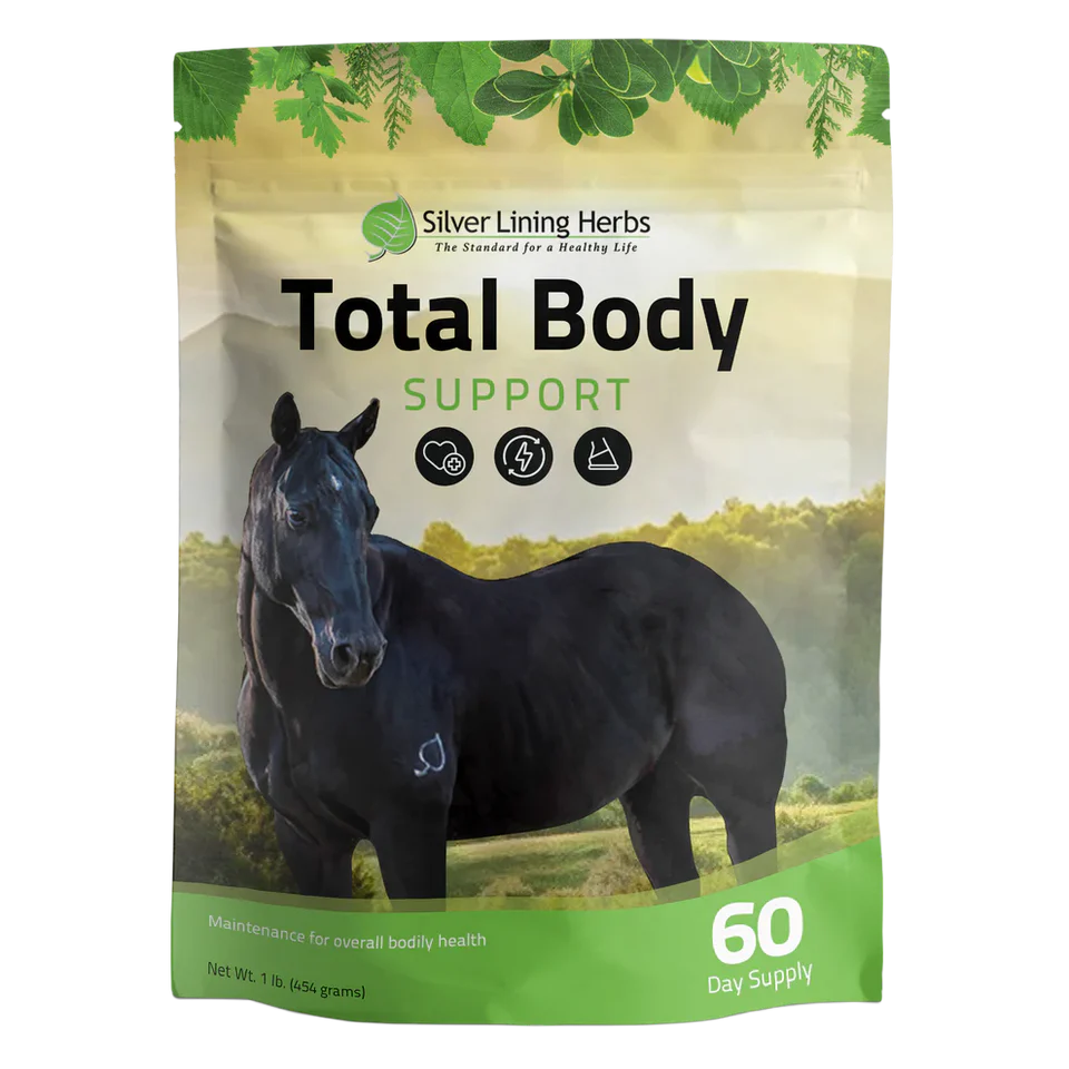Total Body